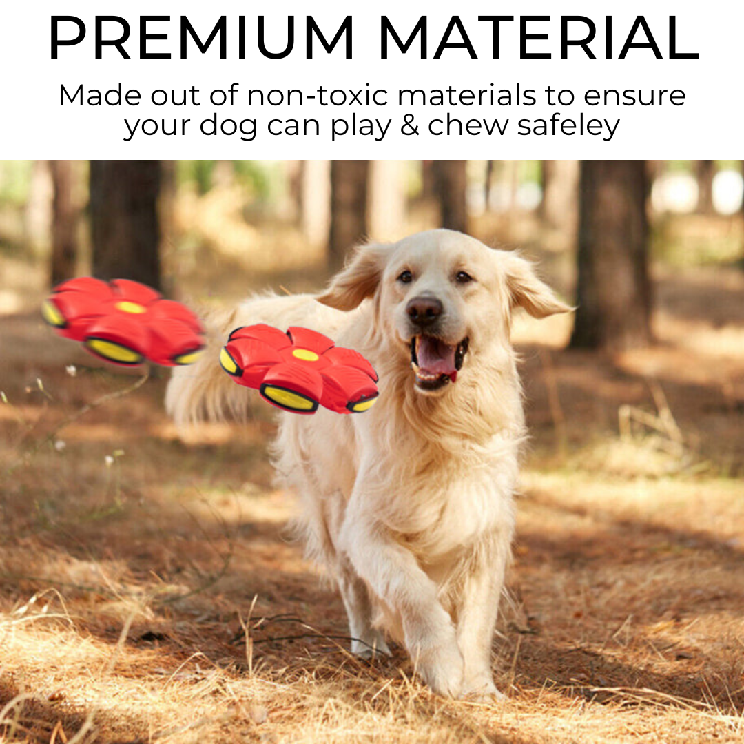 Paws&Pooches™ Dog Frisbee