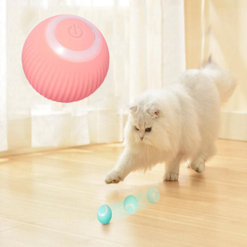 Paws&Pooches™ Interactive Ball